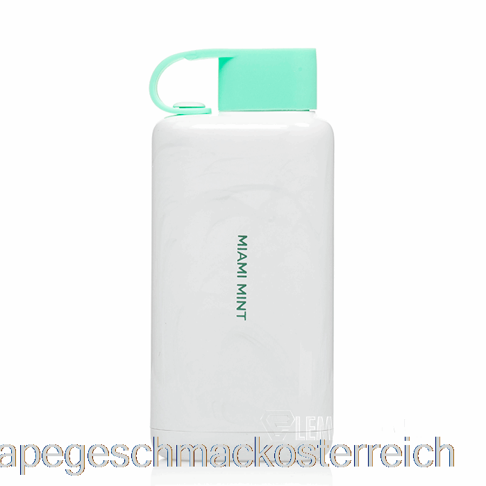 Vozol Star 9000 Einweg-Miami-Mint-Vape-Geschmack